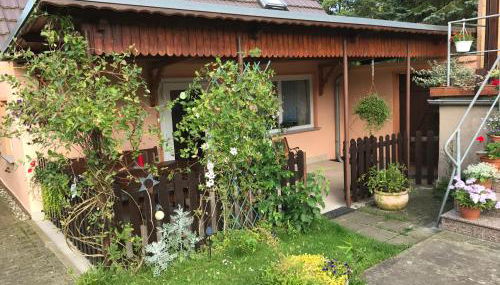 Peeneurlaub - Foto 2, Garden