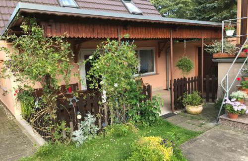 Peeneurlaub - Foto 2