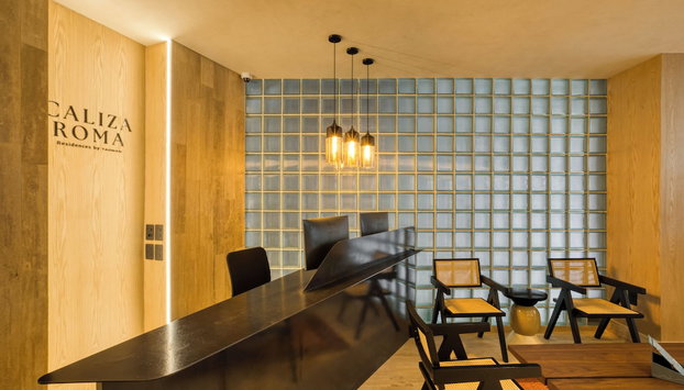 Caliza Roma Residences by Tasman - Foto 5, Lobby
