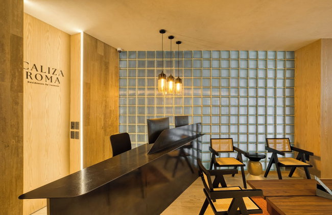 Caliza Roma Residences by Tasman - Photo 5