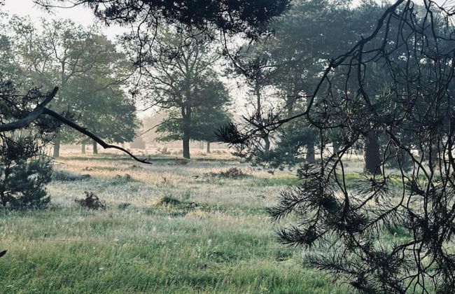 Holiday Home in Haarle Near Sallandse Heuvelrug - Foto 24