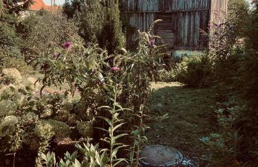 Świerkowe Ranczo Raciszewo - Foto 40