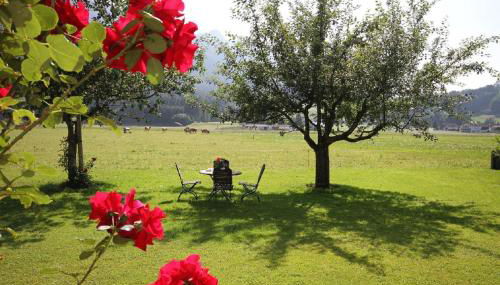 Ferienwohnungen Haus Martin - Foto 3, Garden