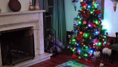 Solar do Sebolido - Foto 2