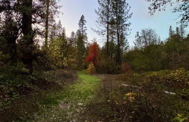 Your Spacious Escape: Creek, Pool, Sauna, Hot Tub - Foto 51