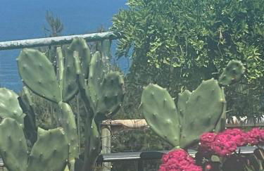 Sunderville Superior - Foto 65