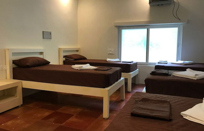 Bamboo Nest - Foto 1