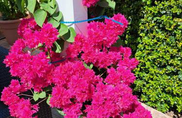 Villa Mariamar - Foto 34