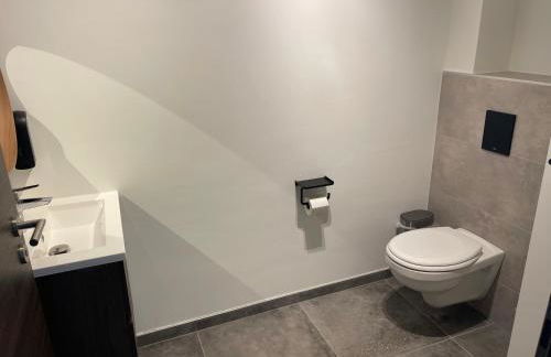 Colmar Appartement terrasse 10min centre ville - Foto 21