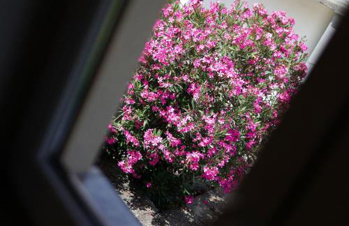 Apartments Via Sole Dramalj - Foto 78