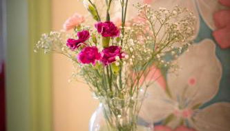 Milu luxury apartment - Foto 5