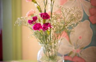 Milu luxury apartment - Foto 5