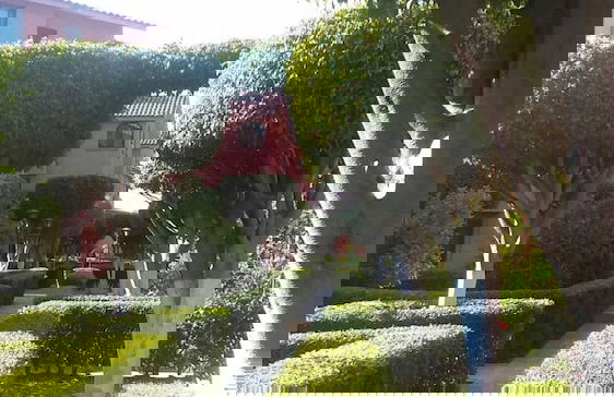 Departamento Comodo, Centrico, Estacionamiento - Foto 38