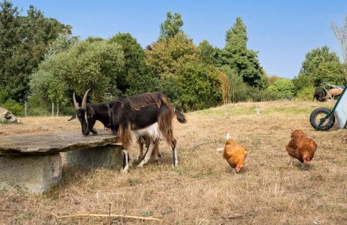 Le gîte de Saint Mathieu, longère pleine de charme au bout du monde ! jacuzzi extérieur vue sur la campagne, salle de billard - Photo 22