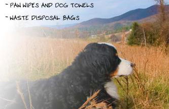 The Farmhouse at Hollow Hill - Foto 12