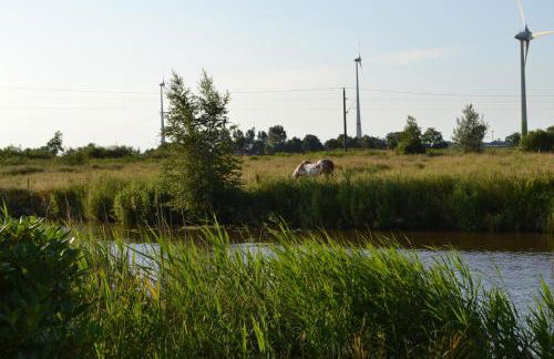 Ferienhaus am Wasser (Knockster Tief) - Foto 14