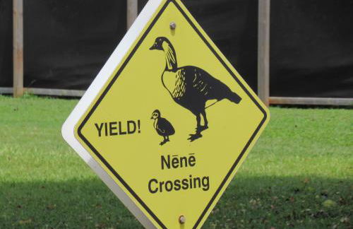 Heaven on Earth - Foto 23