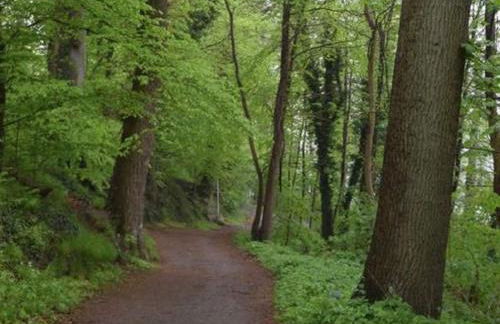 Lakeside Comfort with Balcony - Foto 46