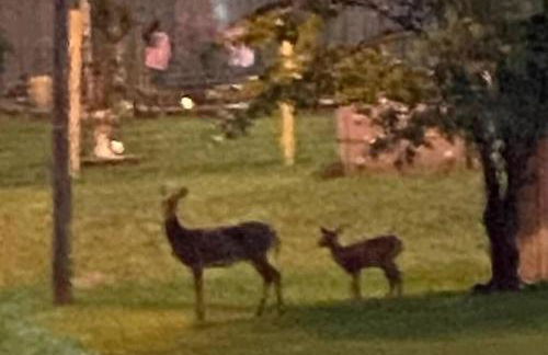 Home in the Heart of W.V. Adventure Country! - Photo 63