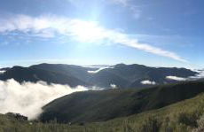 Lar da cima - Foto 76