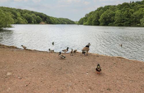 Lake Side Cottage - Foto 26