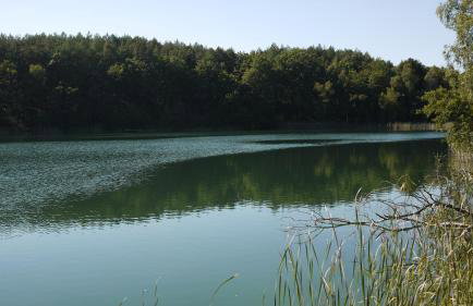 Silna Nowa 2 - Foto 18