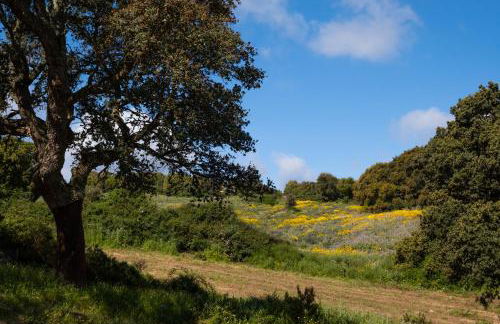 Agriturismo Cultisia Luogosanto - Foto 12