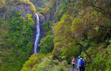 Casa da Bungavillia - Photo 7