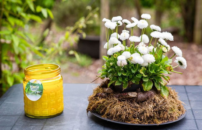 Apartment in Baflo Near Seal Center - Photo 26