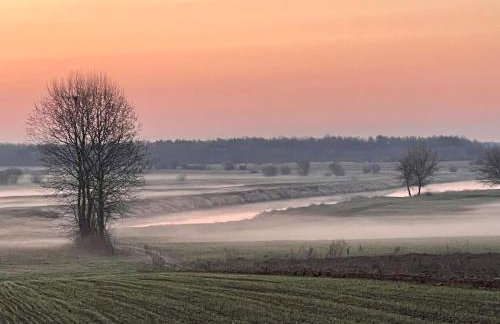 Skrzydła Biebrzy- Eco Cottage nad rzeką Narwią - Biebrza NP - Foto 29