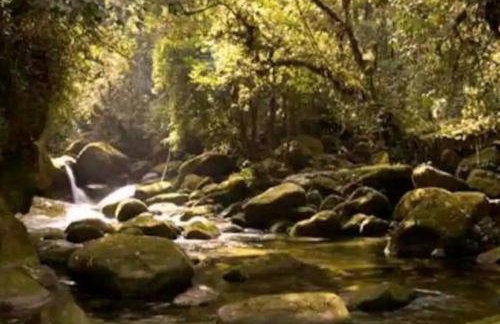 Casa de campo na praia - Foto 15