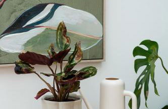 Urlaub in der Glückskoje - 2 SZ, Wintergarten, Haustiere willkommen - Foto 11