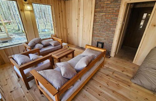 Leniuszkowo Święty Spokój - Foto 16