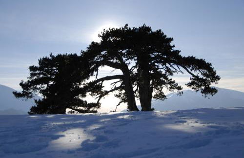 Tana Libera Tutti 2 Nature, Yourself, Love - Foto 44