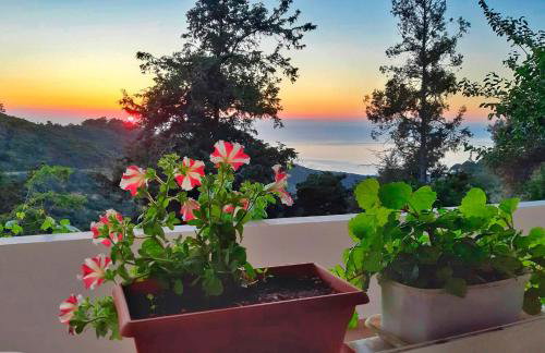 Endless green 1 Arethousa Ikaria - Photo 12