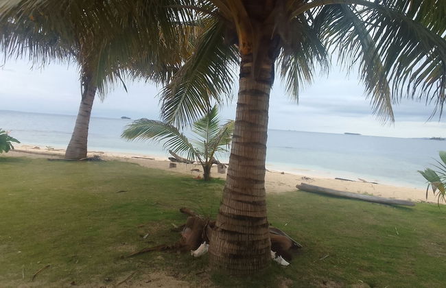 San Blas Tour Aridub - Foto 13