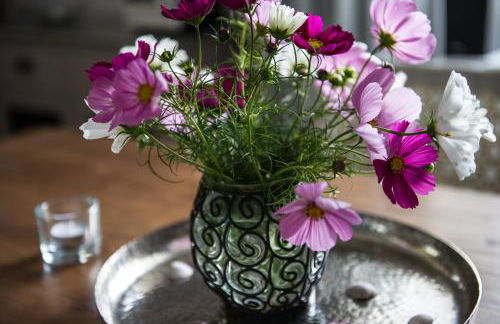 Hof Osterholz - Foto 34