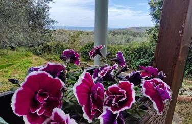 Anatolika Stamatis Paradise - Photo 78