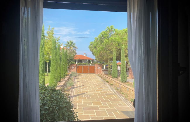 Olives and Vines all Season Villa - Photo 40