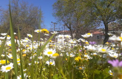 Sto Dimeiko - Foto 26