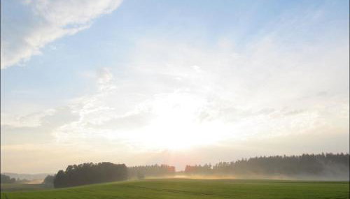 Schwarz-Hof - Foto 4, Other