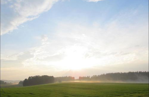 Schwarz-Hof - Foto 4