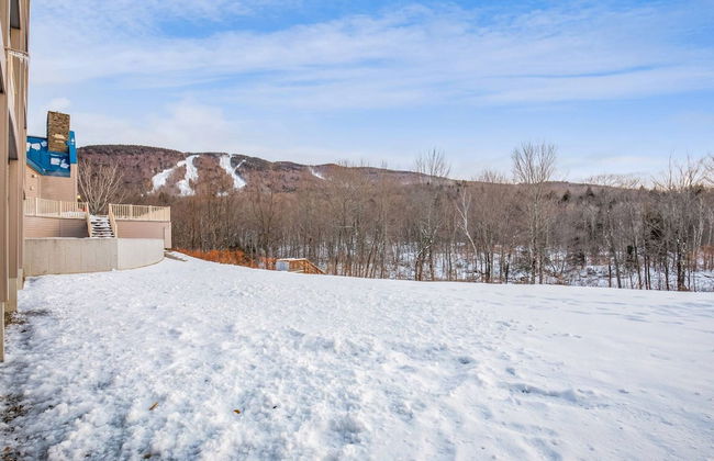 Loon Escape - Photo 23