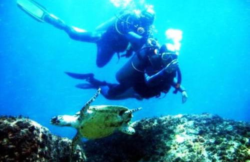 Caribe Brasileiro a 2 passos da areia - Photo 33