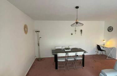 Appartement Cern Geneve Terrasse Station de ski - Foto 13