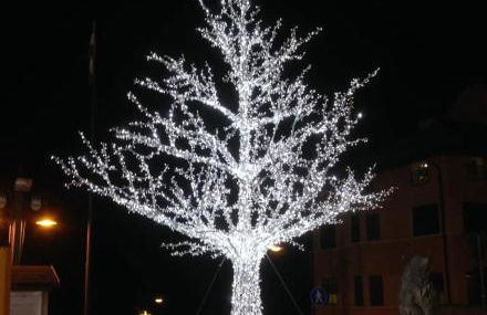 Casa Costa Alta - Foto 23