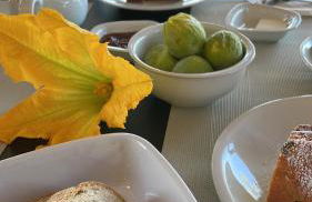 Agriturismo con cucina Il Favaio - Foto 51