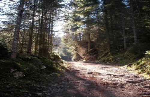 Gemütliche Alpenwohnung in Altenau - Foto 5