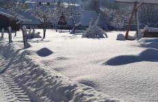 Leśny Domek - Foto 21