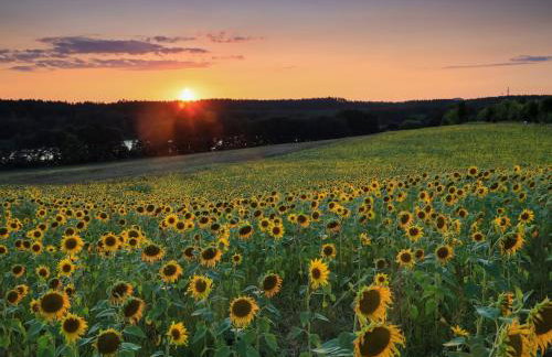 Cztery Luksusowe Domy na Mazurach, jezioro Juksty - SAKURAREST - Foto 30